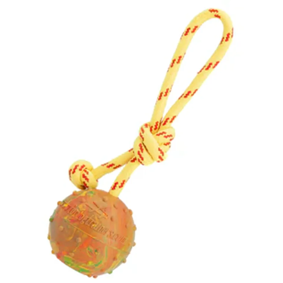Bola de borracha sólida com corda