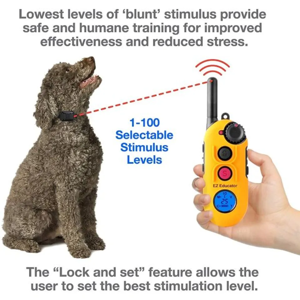 E-Collar EZ-900 p/ 1 dog